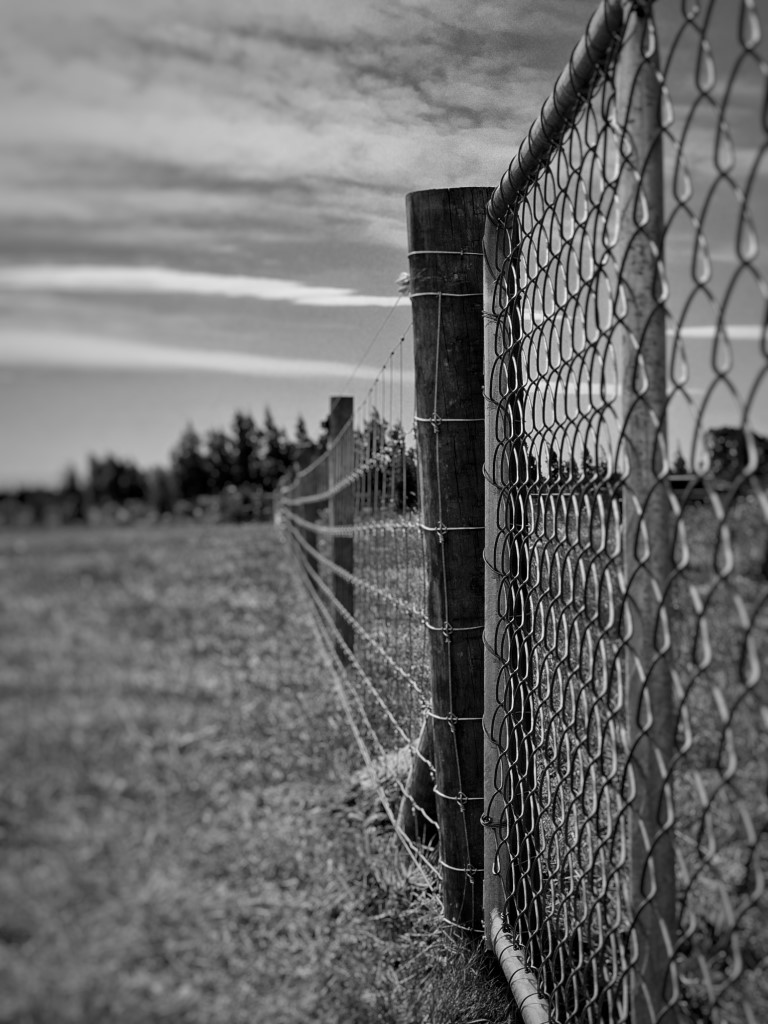 20240205 151650 01 - Fencing & Retaining Walls Christchurch project