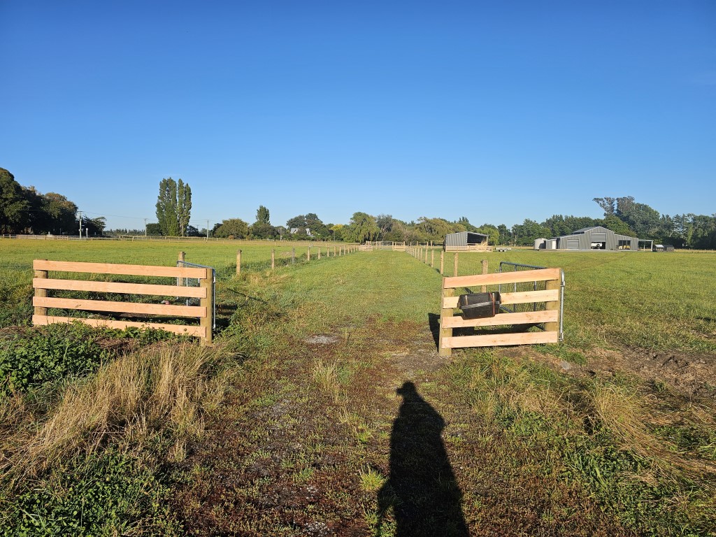 20250306 085526 - Fencing & Retaining Walls Christchurch project