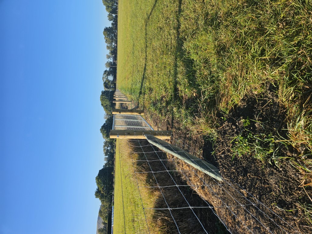20250306 085807 - Fencing & Retaining Walls Christchurch project