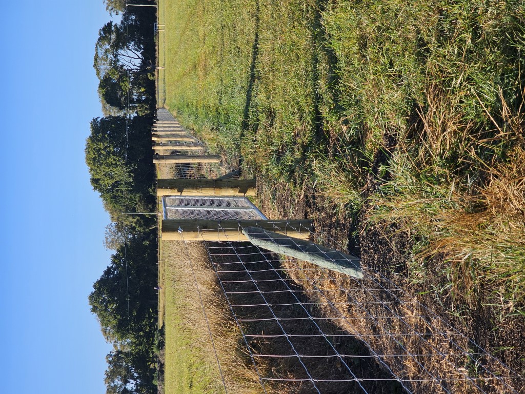 20250306 085814 - Fencing & Retaining Walls Christchurch project