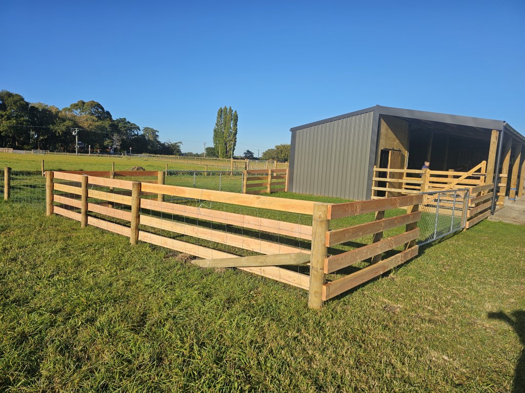 20250306 090155 - Fencing & Retaining Walls Christchurch project