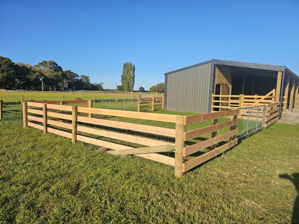 20250306 090159 - Fencing & Retaining Walls Christchurch project
